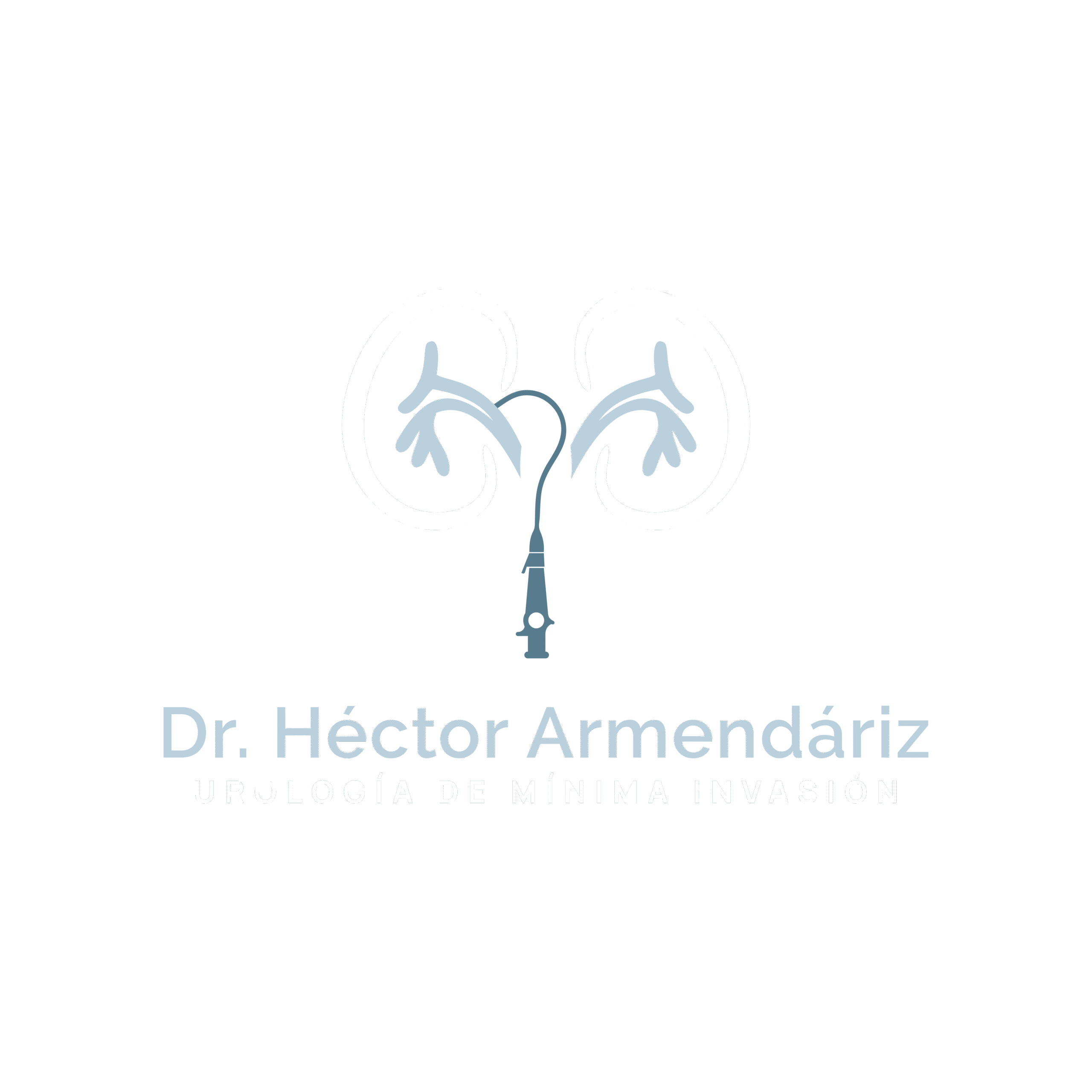 Dr. Héctor Armendáriz – Urología de minima invasión